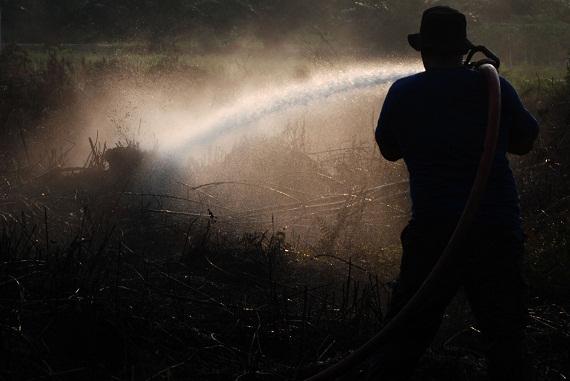 Walhi Riau Kecam Penerbitan SP3 Kasus Pembakar Lahan dan Hutan