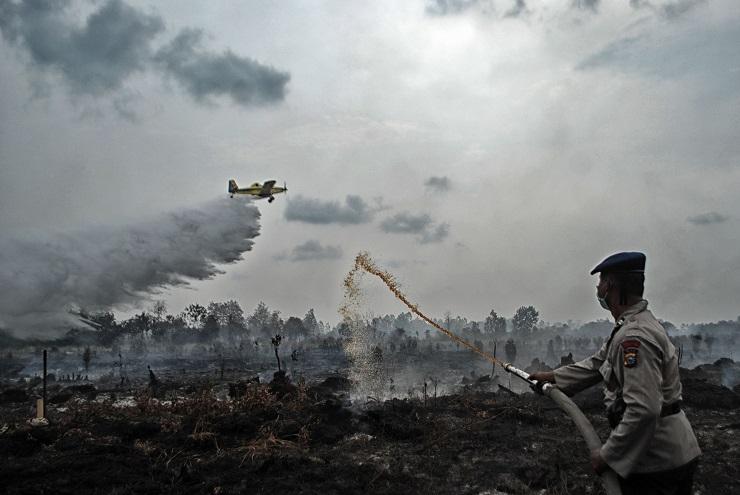 Asian Games,  Jokowi Minta Waspadai Bencana Asap 