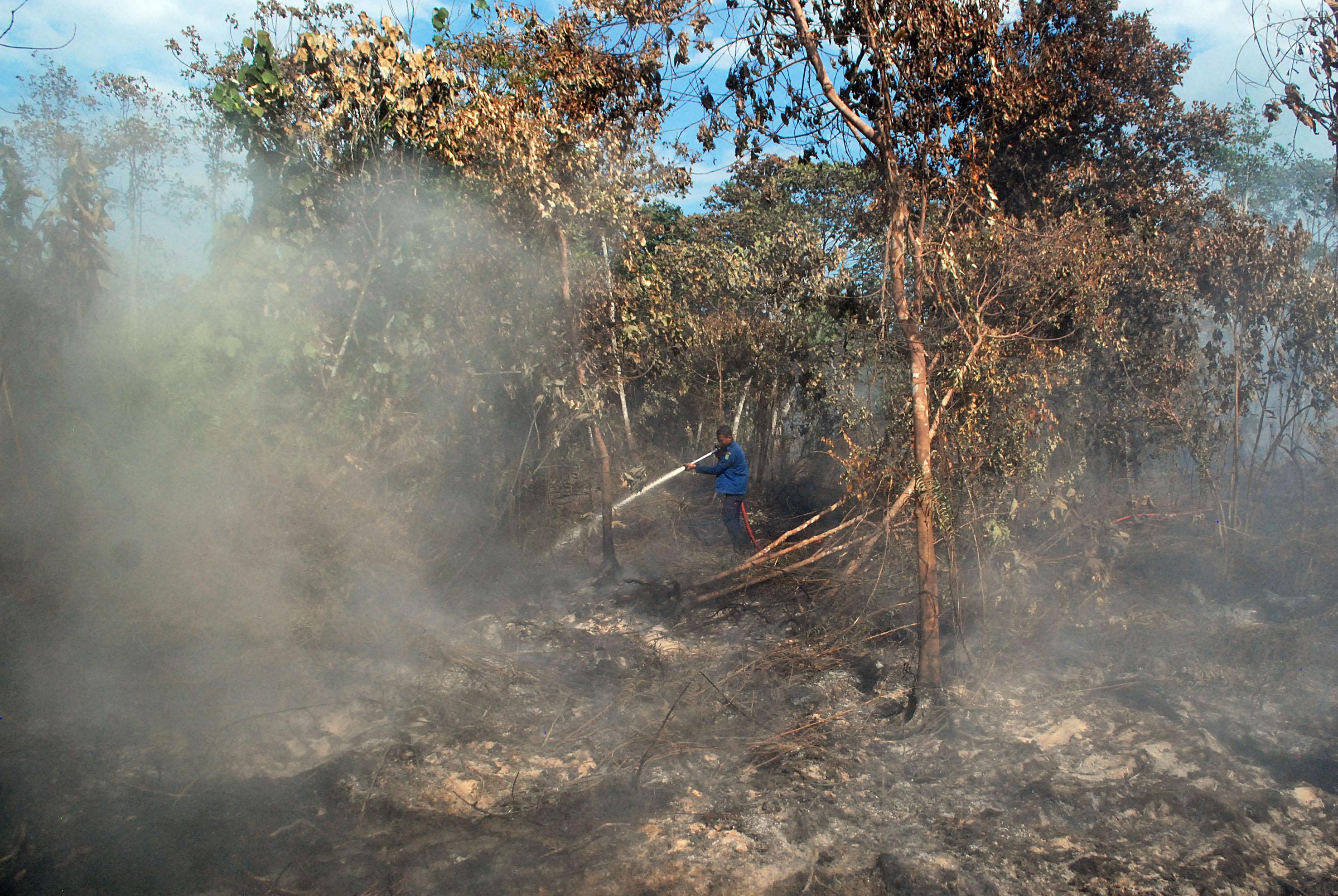 BPBD Riau Kesulitan Jangkau Lokasi Kebakaran