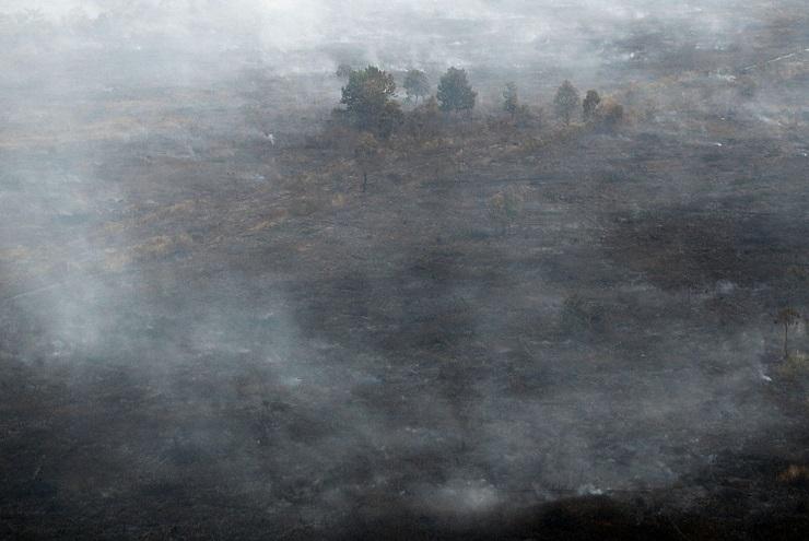 Satgas Karhutla Riau Segel 40 Hektar Lahan Terbakar