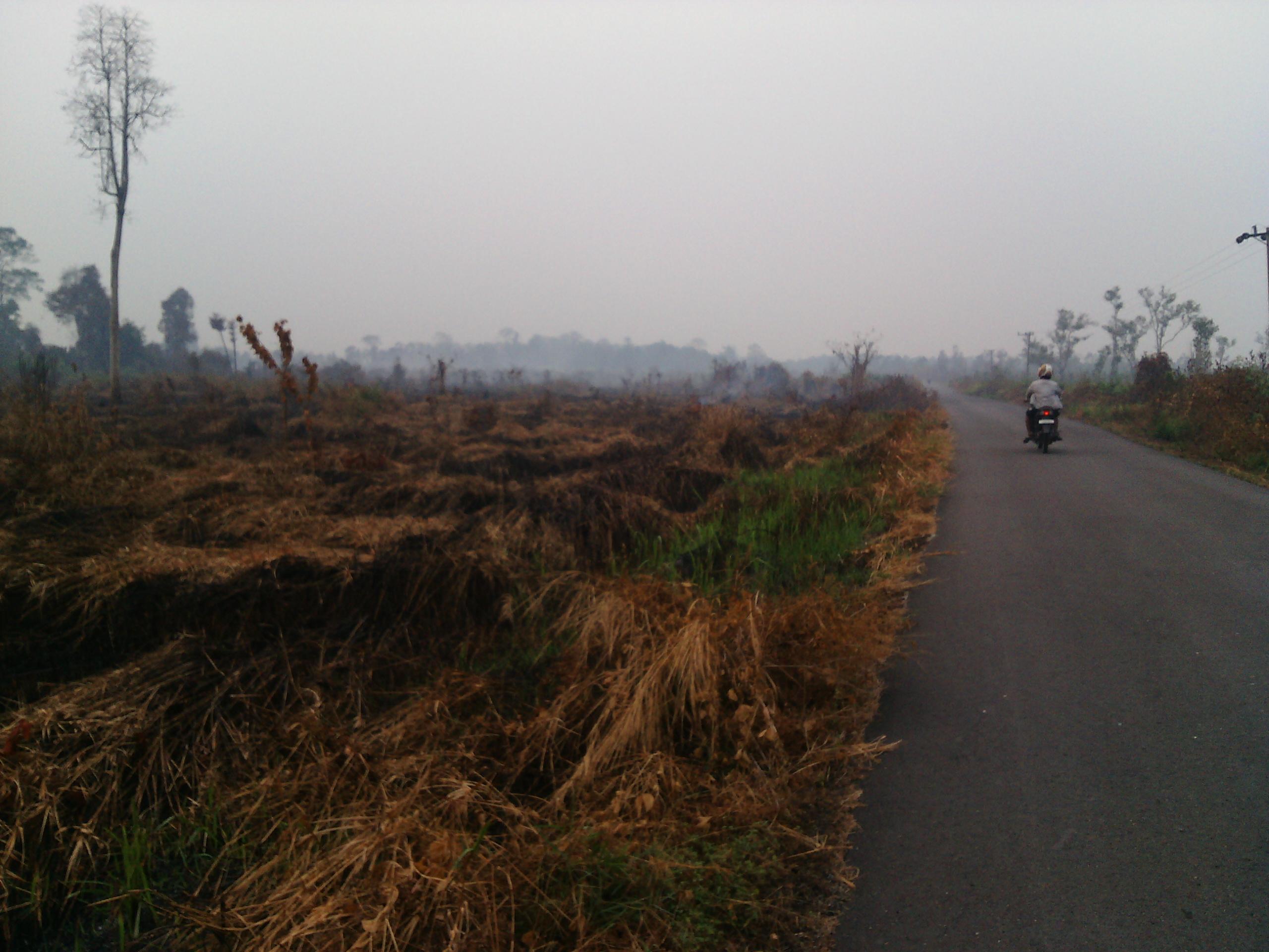 BMKG: Masih Ada Lebih dari 400 Titik Api di Kalimantan