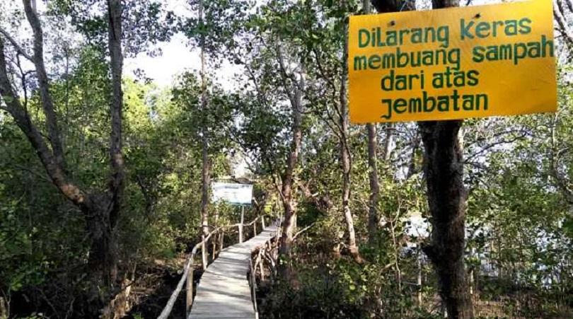 Ratusan Ribu Hektar Hutan Mangrove di Indonesia Kritis