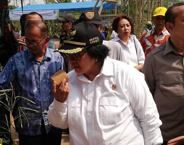 Menteri Siti Dambakan Banjar Punya Arboretum Bambu