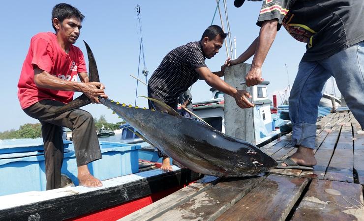 Puluhan Nelayan Aceh Ditangkap di Thailand
