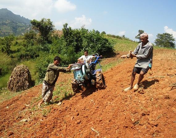 Petani Nepal sedang membajak lahan. (Foto: Shuriah Niazi)