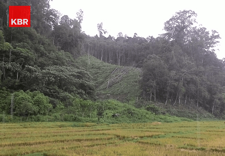 Kerusakan Hutan TNKS Wilayah Rejang Lebong Kian Parah