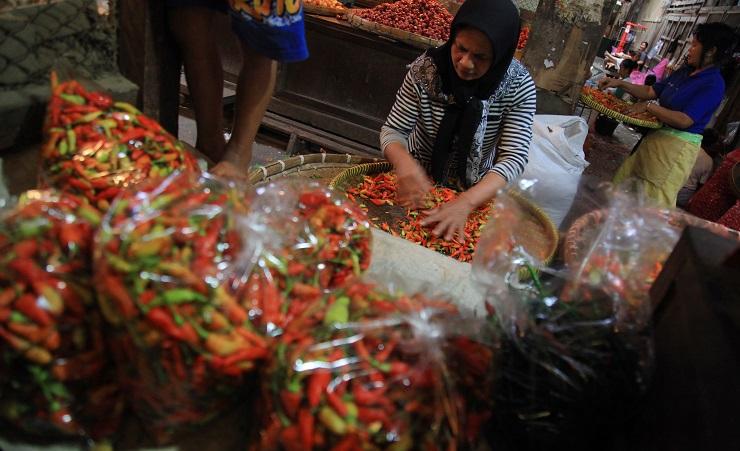 Harga Cabai Turun Drastis, Pedagang: Terendah dalam Beberapa Tahun