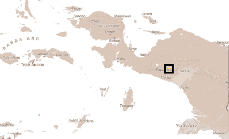 Ribuan Warga 'Disandera', Aktivitas Dua Kampung di Papua Lumpuh Sepekan
