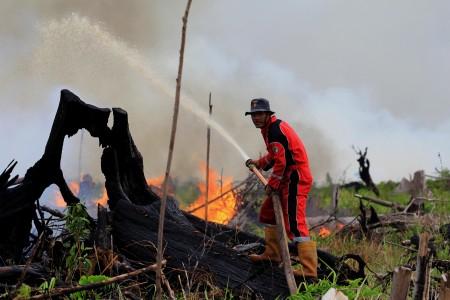 Dalam Hitungan Hari Api Hanguskan 20 Hektar Lahan di Riau