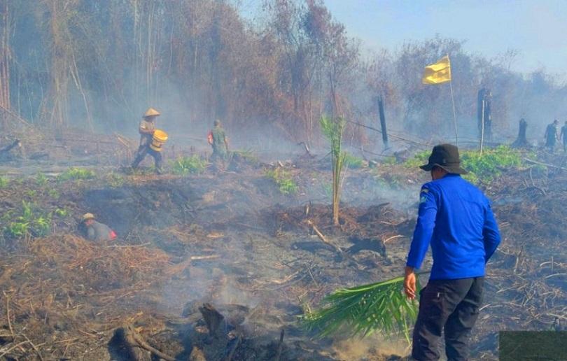 Belasan titik api terdeteksi di Aceh