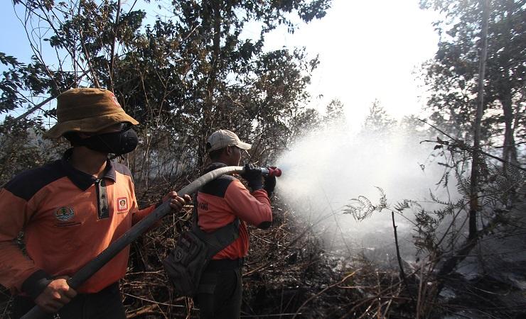 Karhutla Riau, Walhi Desak Pemerintah Audit Perizinan Lahan