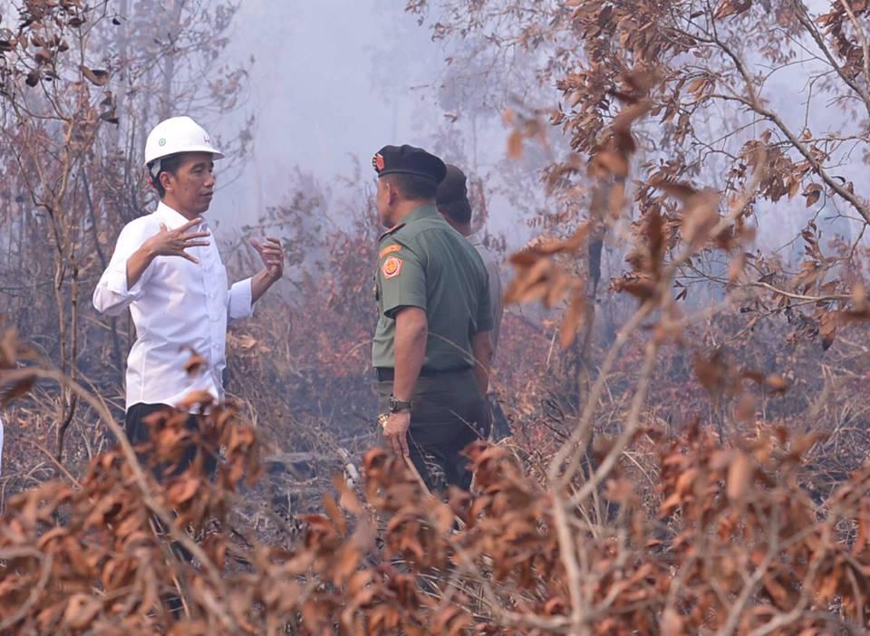 Polda Riau Baru Tetapkan Satu Tersangka Pembakar Hutan