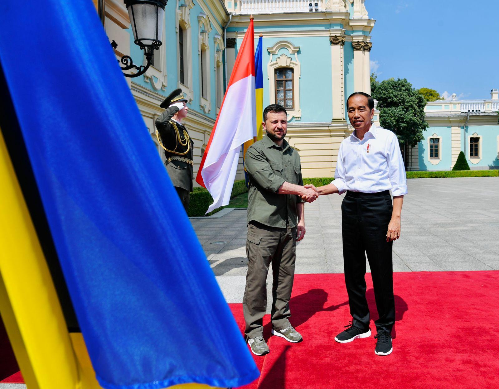 Poin-Poin Pertemuan Jokowi dengan Presiden Ukraina