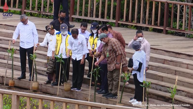 Jokowi Bakal Tunjukkan Kepedulian Indonesia terhadap Lingkungan di KTT G20