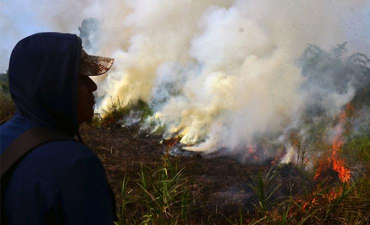 BKSDA Riau Tangkap 3 Pelaku Karhutla