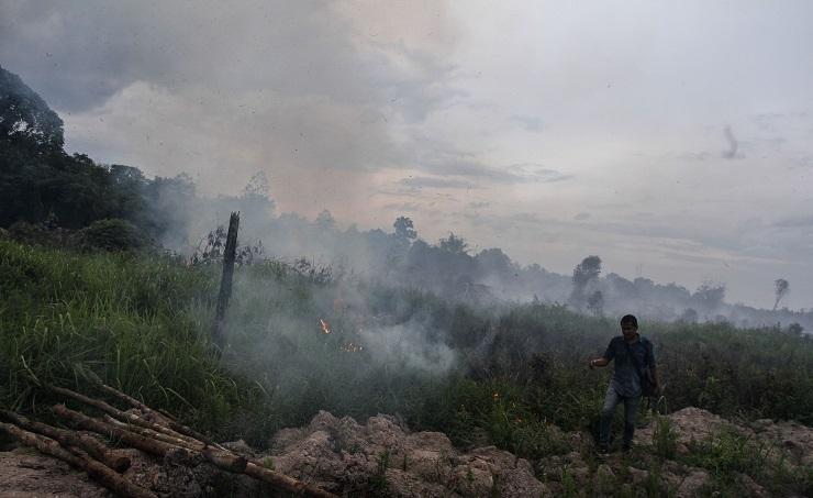 BMKG: Siap-siap, Riau Segera Masuk Musim Kemarau