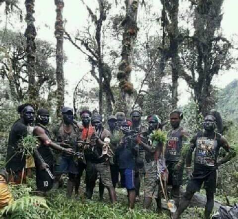 Pemerintah Nyatakan Kelompok Bersenjata Papua Sebagai Teroris