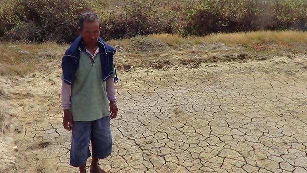 Puluhan Hektar Tambak Garam di Rembang Kering