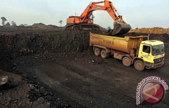 Indonesia Kecolongan Impor Batu Bara 50 Juta Ton per Tahun