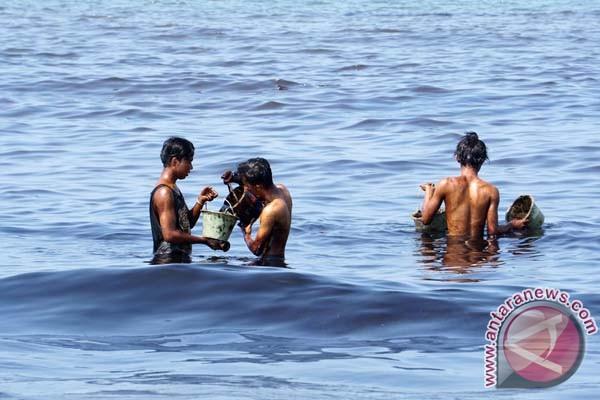 Warga mengumpulkan tumpahan Minyak di pantai Cilacap.  Foto: Antara