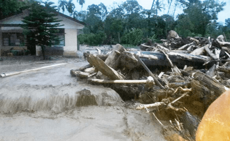 Gelondongan Kayu Diduga Hasil Pembalakan Liar Terseret Banjir Bandang Aceh Tenggara