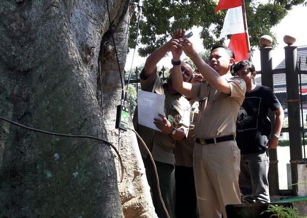 Pertama di Indonesia, Sejumlah Pohon di Bogor Mulai Ber-KTP Resmi