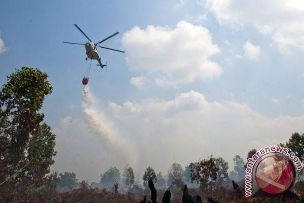Hari Ini, Kekuatan Udara Fokus Padamkan Api di Pesisir Timur Sumsel