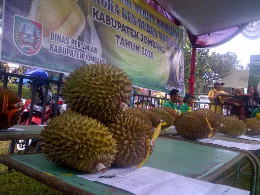 Mengenal Durian Wonosalam Jombang