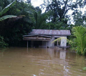 Banjir dan Longsor  Kapuas Hulu, 8 Rumah Hanyut dan 1 Warga Tewas 