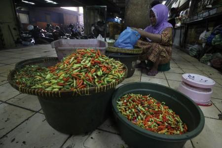 BUMN  Kucurkan Cabai ke Pasar, Pedagang Mengeluh Ukuran Kecil