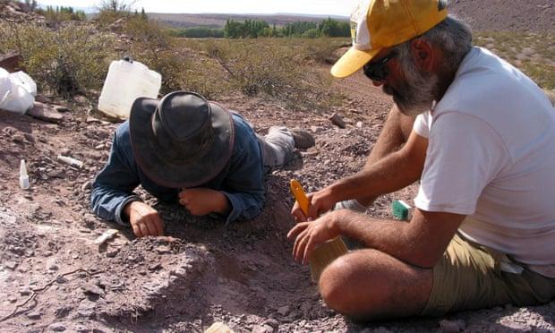 Fosil Spesies Dinosaurus Terbaru Ditemukan di Argentina