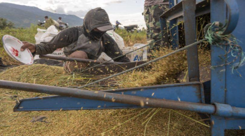 Pemerintah Diminta Pastikan Stok BBM untuk Pertanian