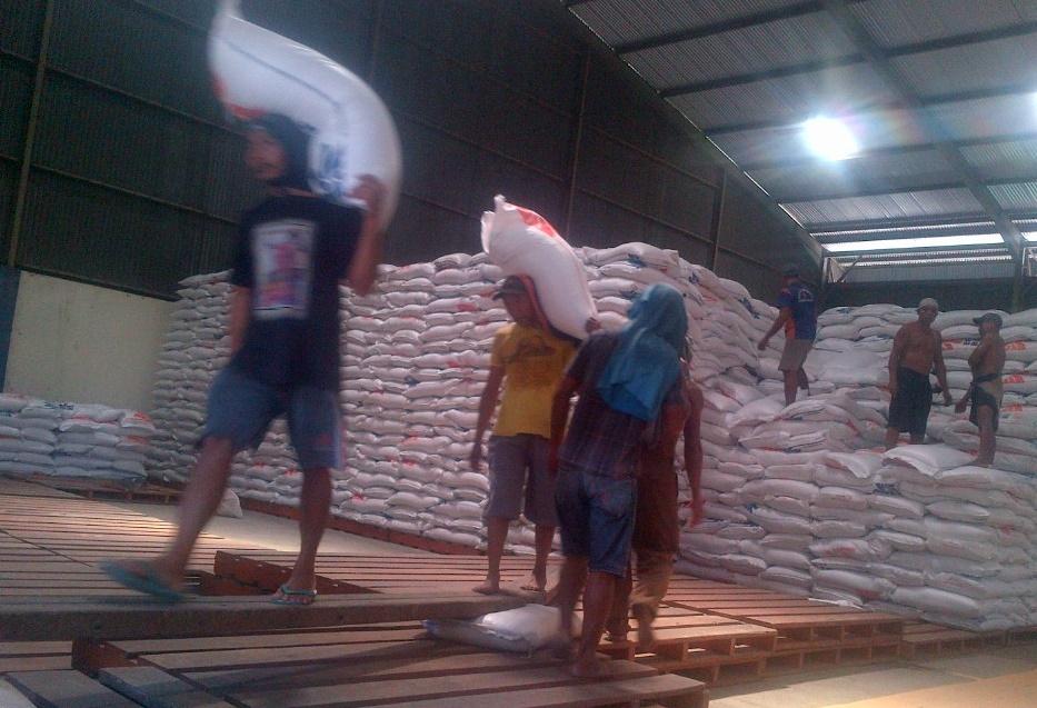 HPP Rendah, Bulog   Kesulitan Serap Beras Petani di Jombang