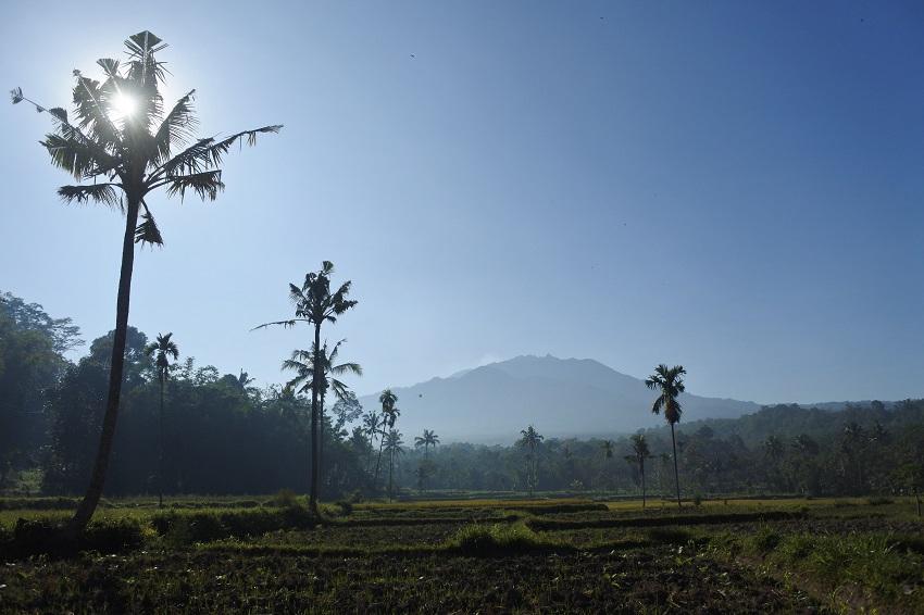 Abu Vulkanik Gunung Raung Tutupi 24 Kecamatan di Banyuwangi