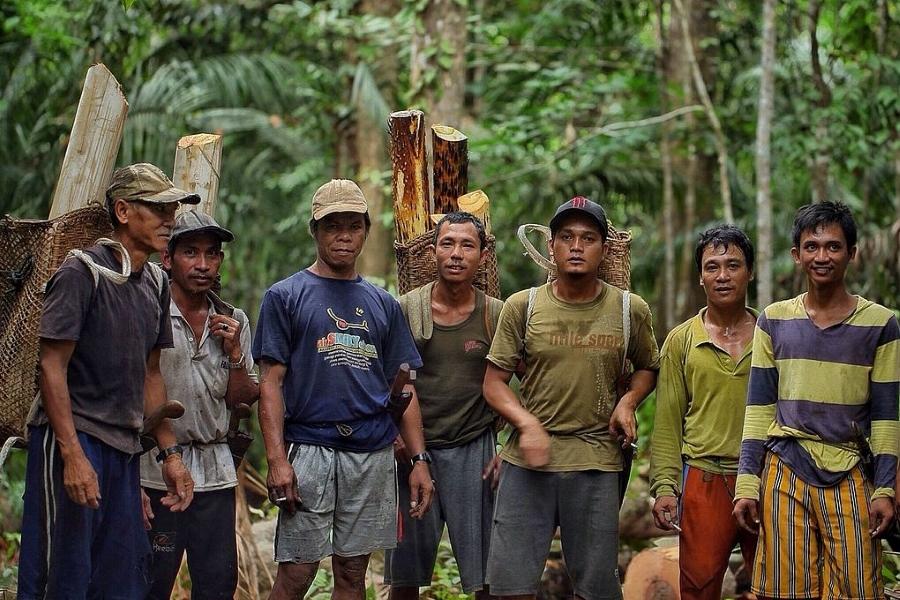 Atasi Konflik Lahan, Pemerintah Luncurkan Peta Hutan Adat