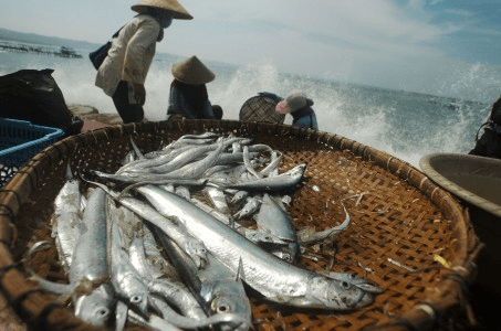 Gelombang Tinggi, Harga Ikan Melambung 100 Persen di Muko-muko