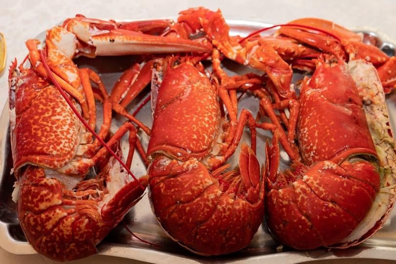 Komisi IV DPR: Ekspor Benih Lobster Sangat Merugikan Rakyat