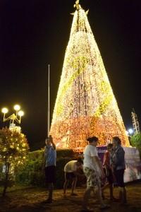 Sri Lanka Buat Pohon Natal Tertinggi di Dunia