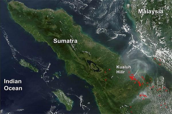 Titik Api Di Riau Meningkat Tajam