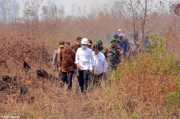 Ratusan Titik Api di Kalimantan Belum Berhasil Dipadamkan