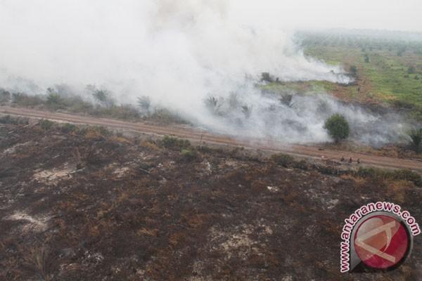Ratusan Desa Rawan Karhutla, Kalbar Maksimalkan Desa Siaga Api 