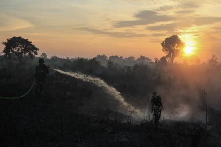 Delapan Kabupaten di Aceh Rawan Kebakaran Hutan dan Lahan
