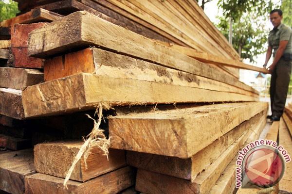 Tim Patroli Gabungan Mukomuko Sita 41 Kubik Kayu Illegal Logging