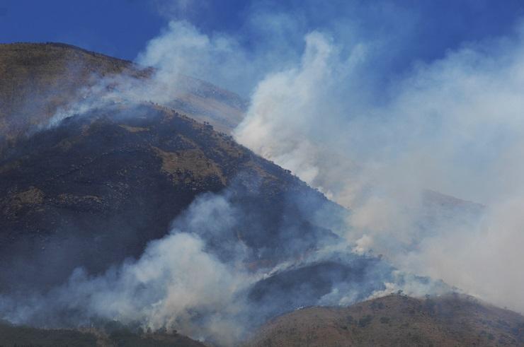 Ratusan Hektare Hutan di Gunung Sindoro-Sumbing Terbakar
