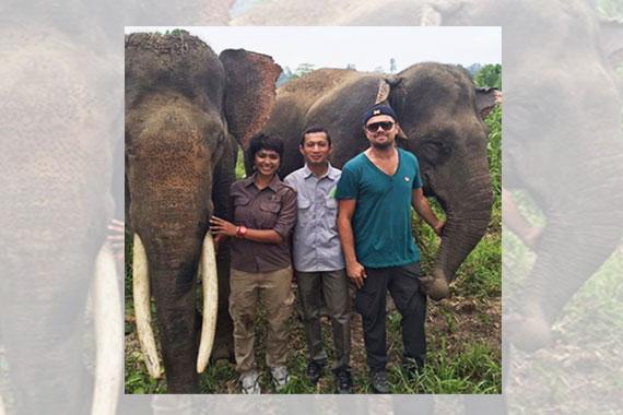 Leonardo foto bareng gajah di Aceh. (Foto: Facebook Fan Page Leonardo DiCaprio)