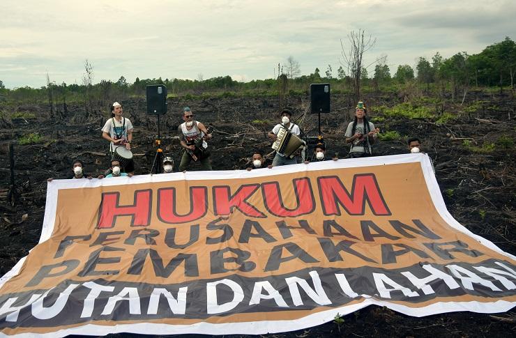 3 Perusahaan Ini Sumbang Deforestasi di Riau & Sumatera Utara