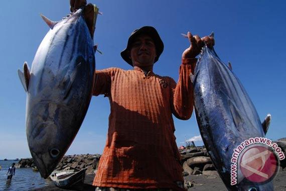 Nelayan Ikan Tuna. Foto: Antara