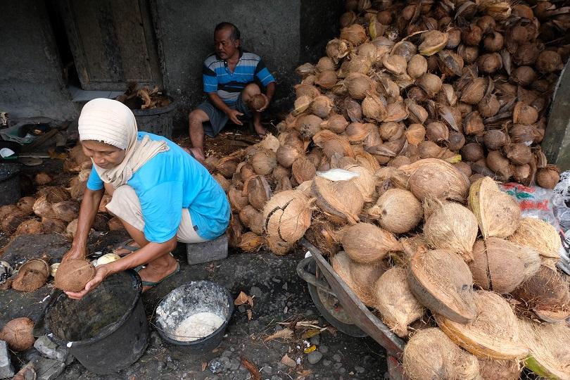 Malaysia Masih Tutup, NTB Kirim Pekerja ke Perkebunan Sawit di Kalimantan