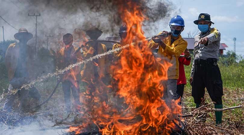 Pelatihan pemadaman kebakaran hutan