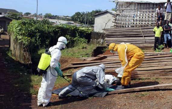 Ilustrasi penanganan virus Ebola. Foto: Antara